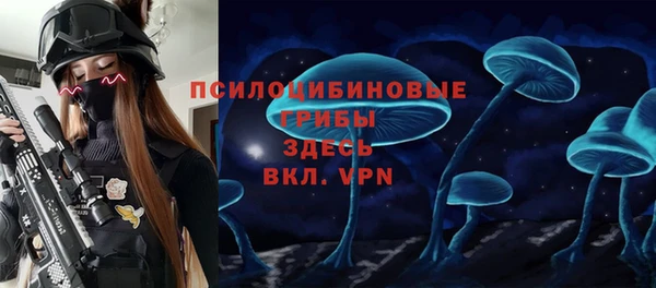 MDMA Premium VHQ Аркадак