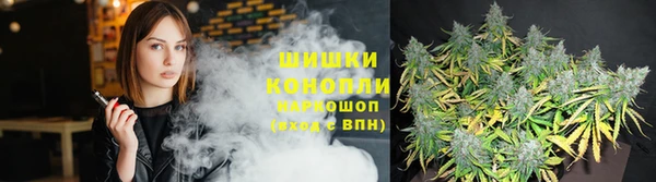 гидра Армянск