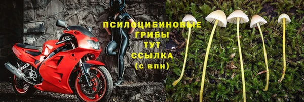 гидра Армянск