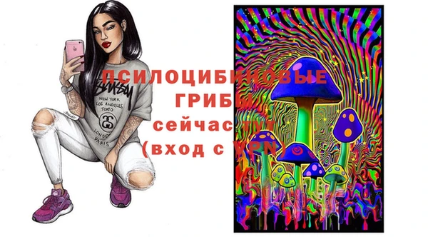 MDMA Premium VHQ Аркадак