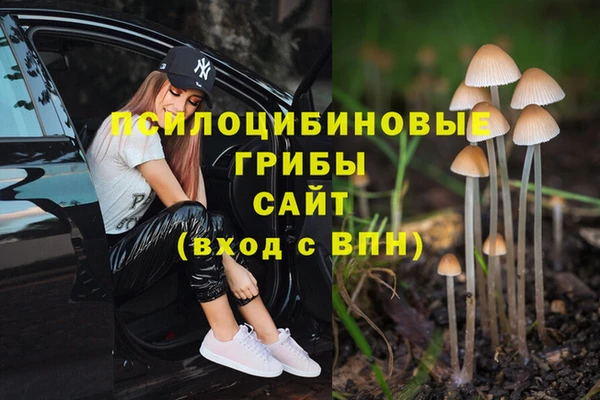 MDMA Premium VHQ Аркадак